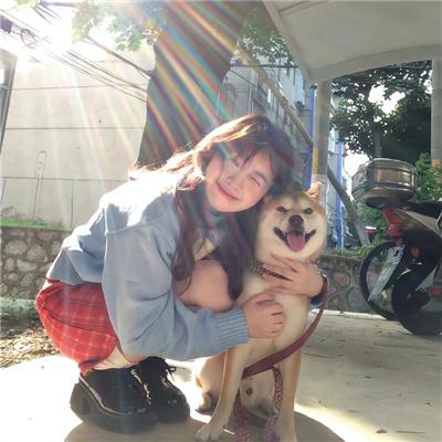 开局一个碗结局一个国